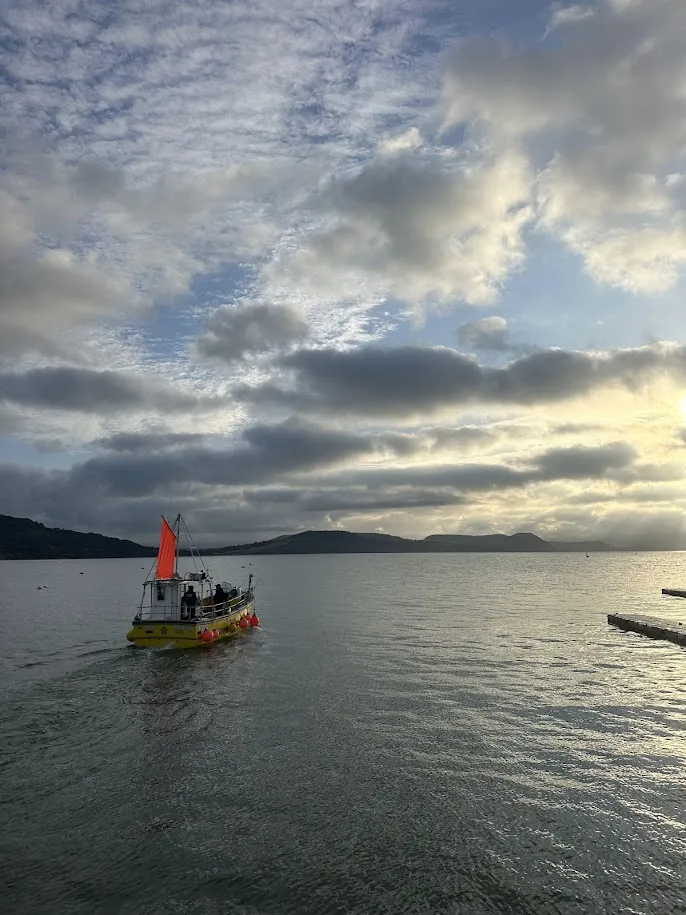 Boat Trips Leave from the Victoria Pier on the Cobb Harbour Lyme Regis