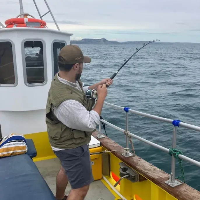 private charter deep sea fishing on prawn star